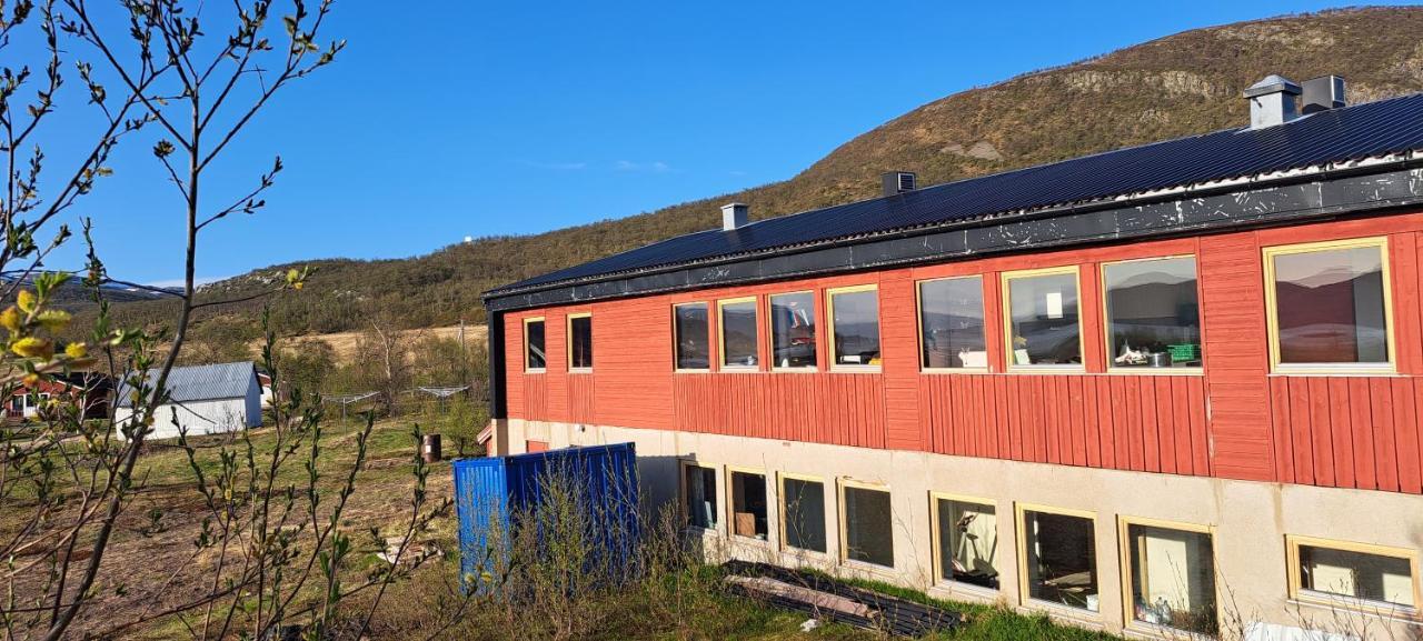 Austertanakrystallen By Pure Lifestyle Arctic Buitenkant foto
