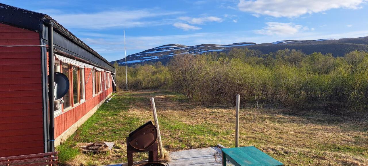Austertanakrystallen By Pure Lifestyle Arctic Buitenkant foto