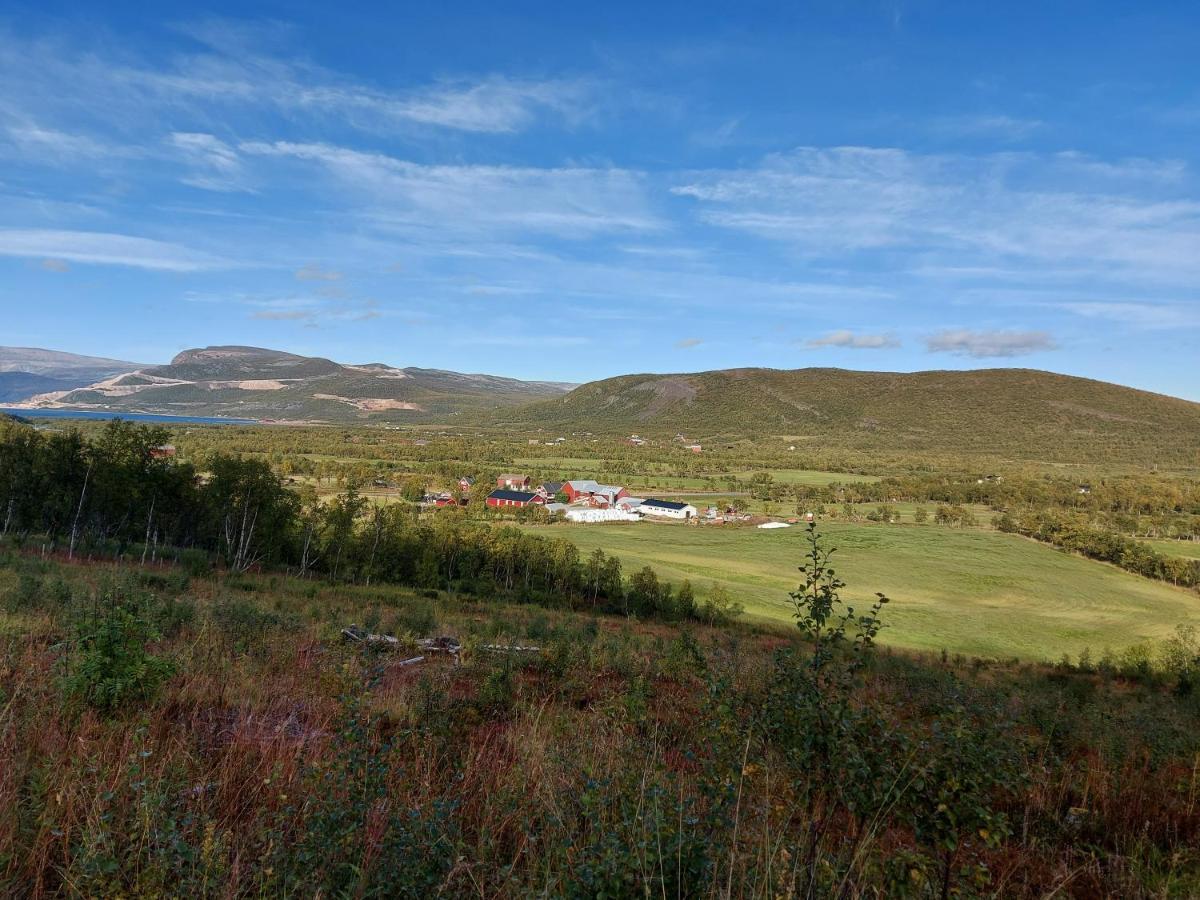 Austertanakrystallen By Pure Lifestyle Arctic Buitenkant foto