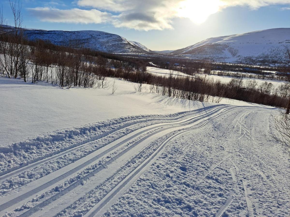 Austertanakrystallen By Pure Lifestyle Arctic Buitenkant foto